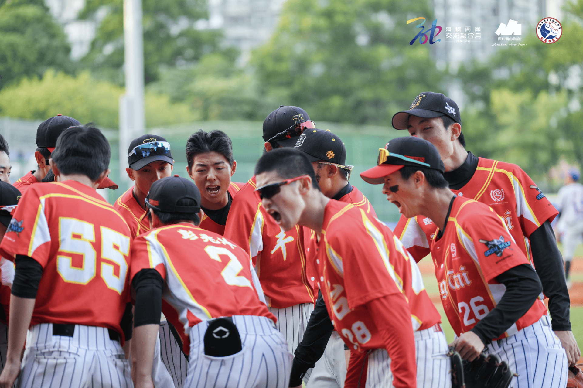 爱游戏娱乐-关于技术流与激情碰撞，棒球决赛再创新高的信息