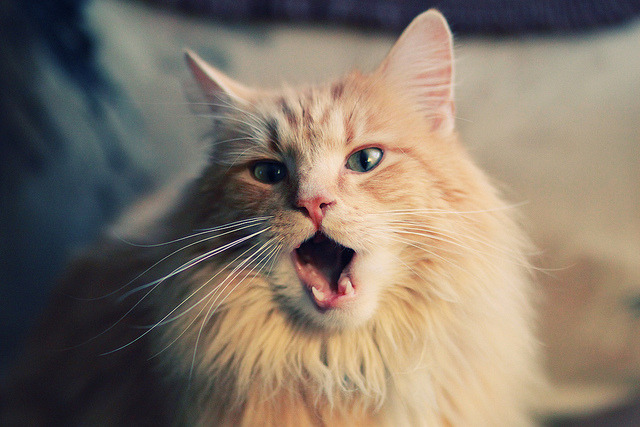 倒挂金钩与霸王拧,时光机里的两个制胜瞬间