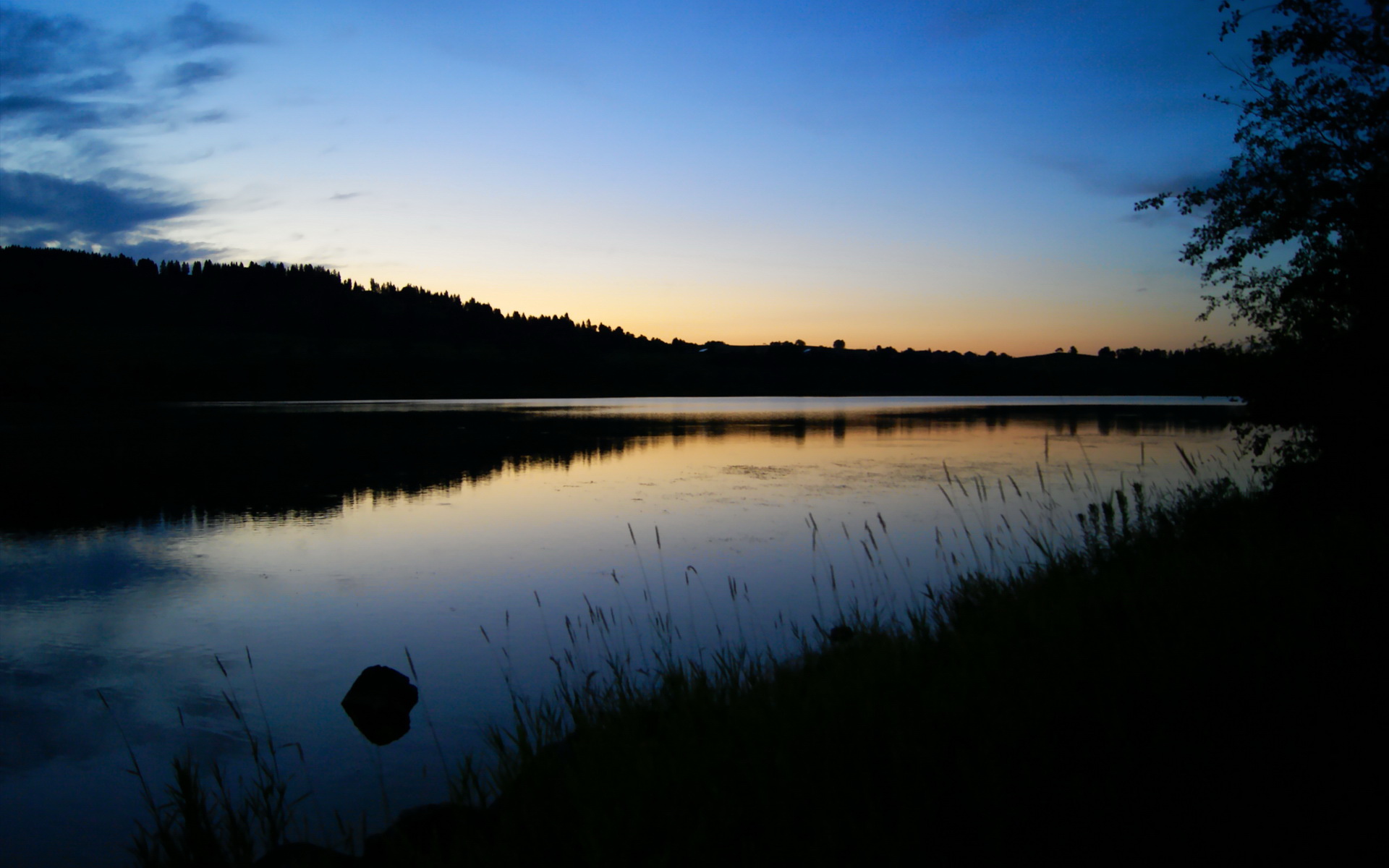街道暗影中的人形凶器,罗德里之夜
