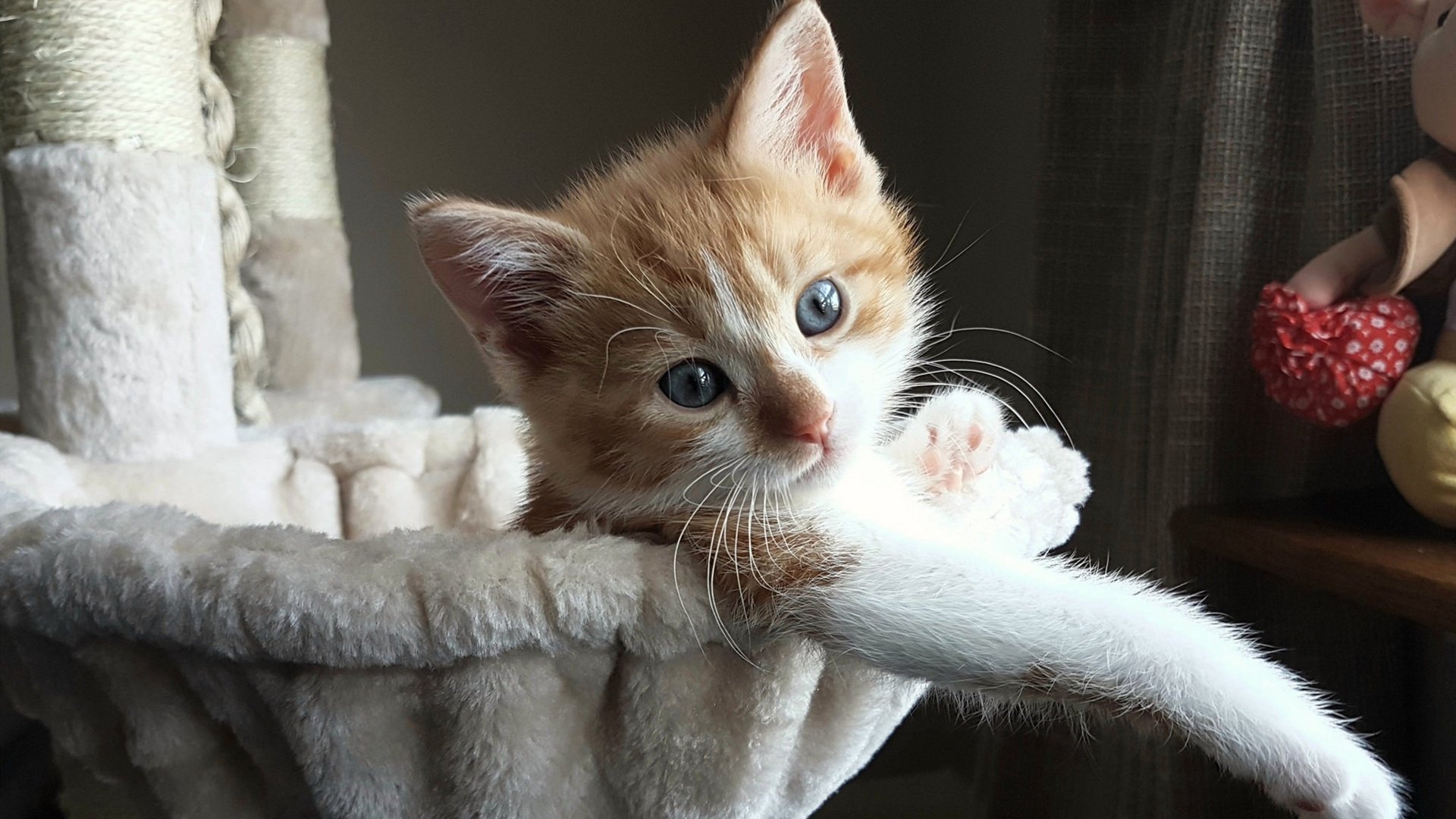 宿敌的黄昏，当杰伦·格林在马刺的坟茔上，奏响孤独的回响