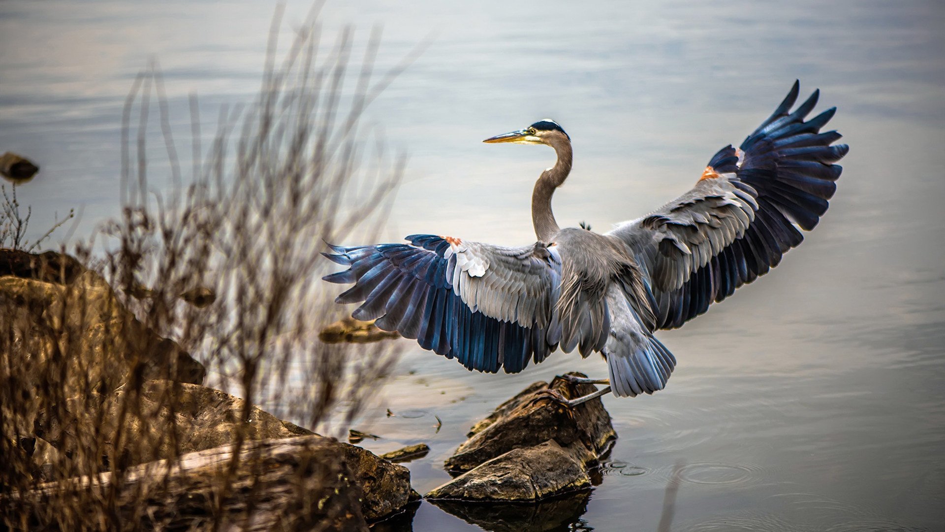 亡者归来，武切维奇在NBA总决赛接管比赛，热火逆袭湖人