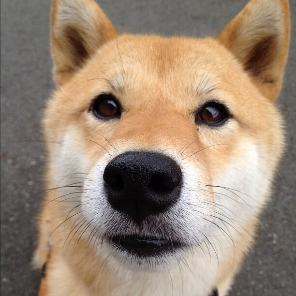 东方魔法点燃赛场，巴斯克铁蹄碾压红魔，一场颠覆传统的胜利