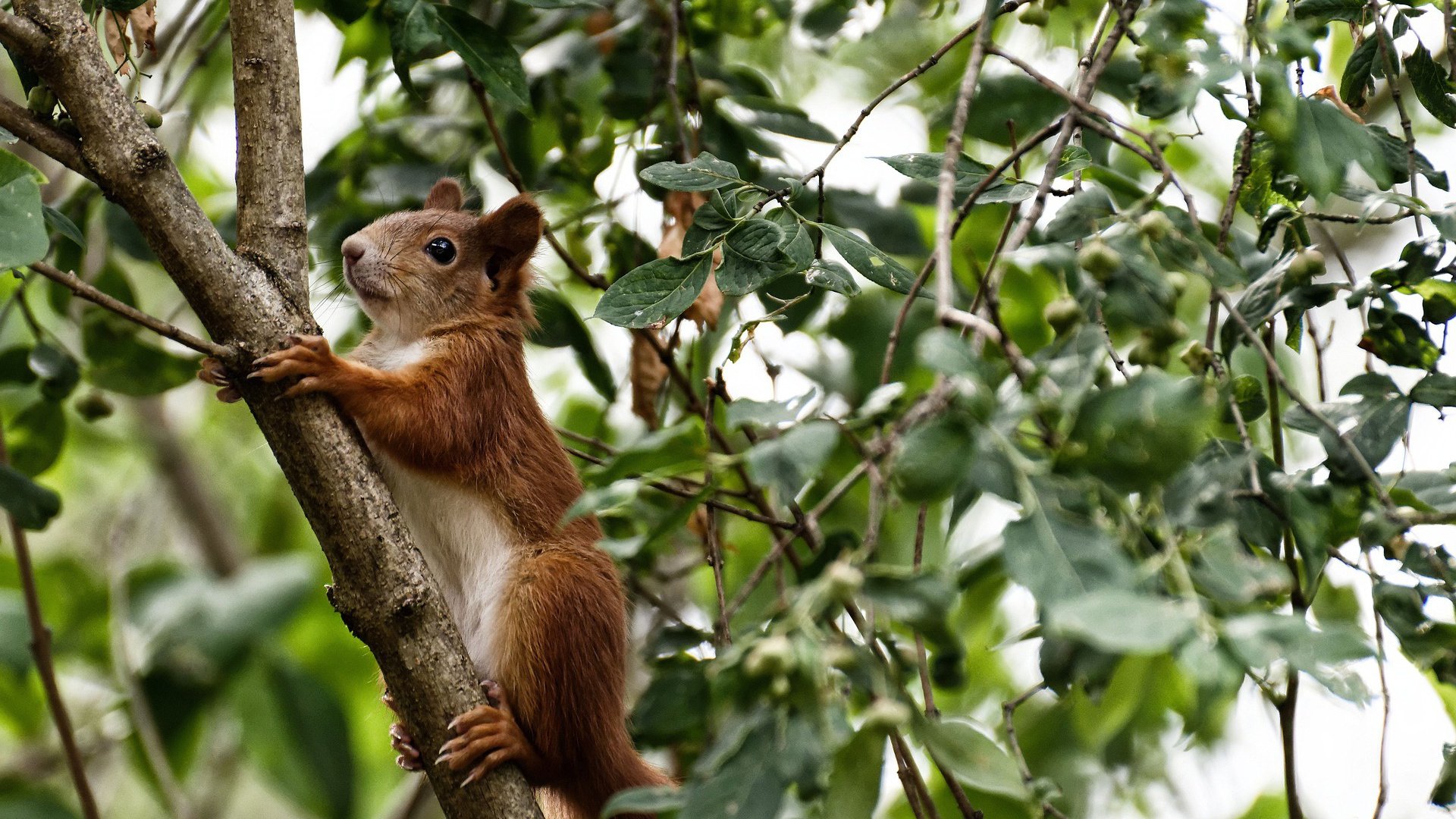爱游戏APP-哈利伯顿，南海岸的瑞士钟表，精密仪器热火灼伤魔术