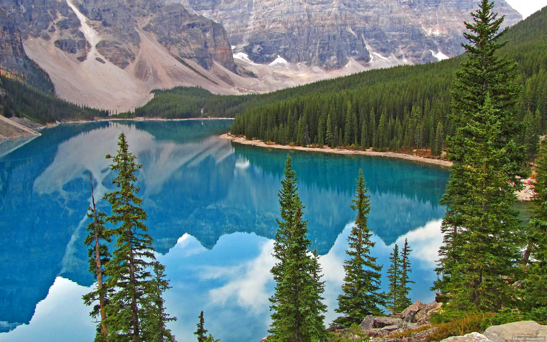 绿茵交响诗，多特蒙德的节奏铁幕与范戴克的破茧变调