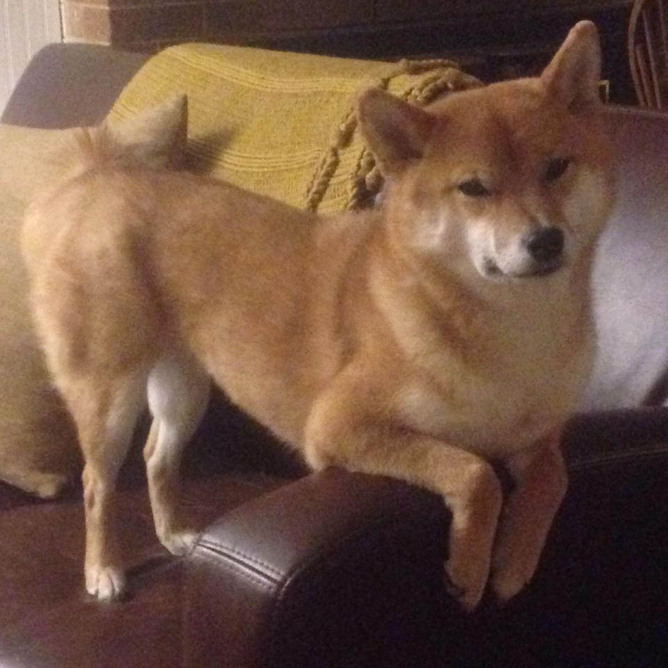 巨星时刻，姆巴佩个人能力如何撕裂丹麦的严密防线，星光照亮亚特兰大之夜