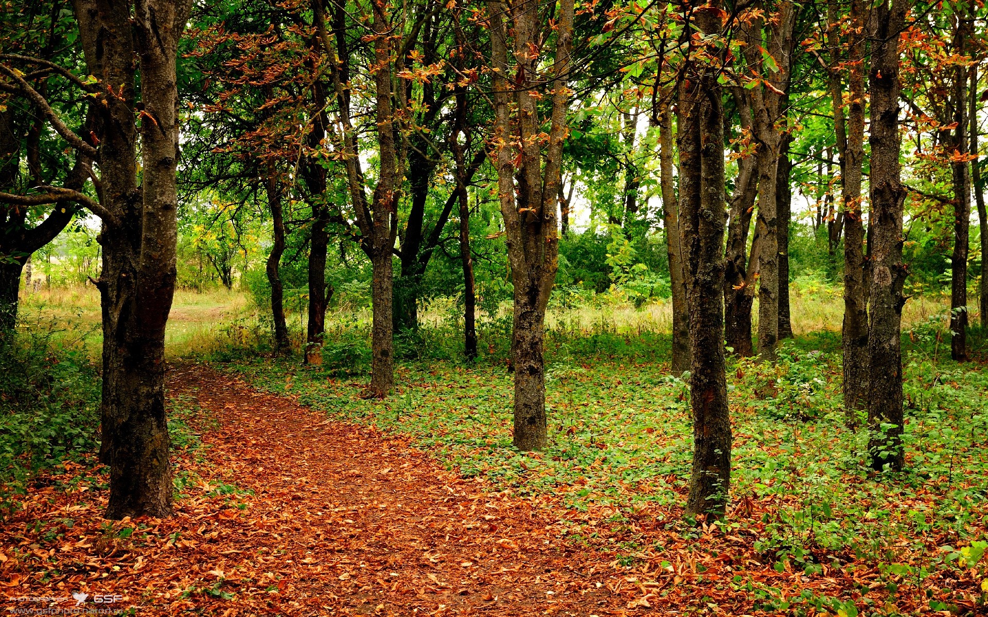 压力炼金石，当皮克在德塞之战中完成无声爆发