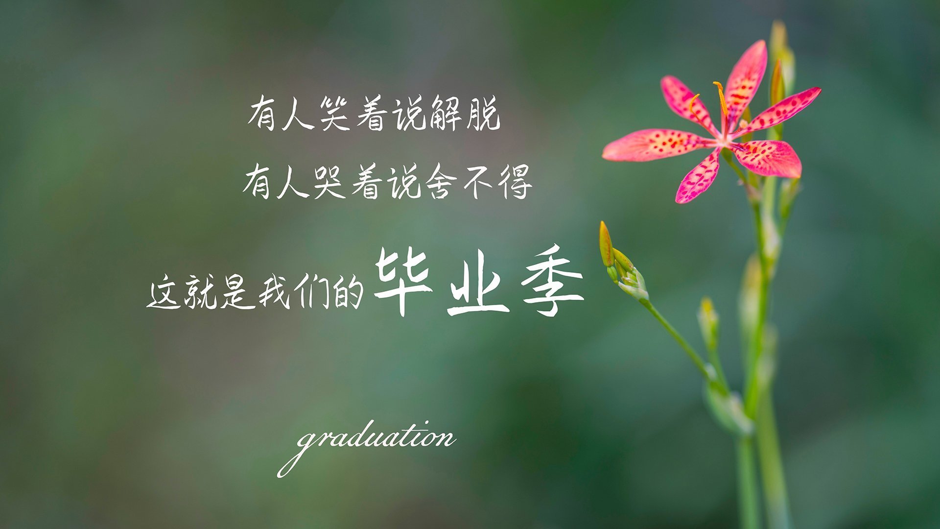 爱游戏官方入口-最后一刻的救赎，2026世界杯小组赛关键战，波兰险胜挪威，加维带队书写不败传奇