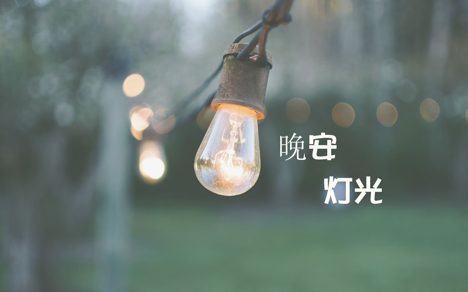 奇迹之夜,印度足球的加勒比海风暴—2026世界杯G组格列兹曼独舞,门将封神逆转美国