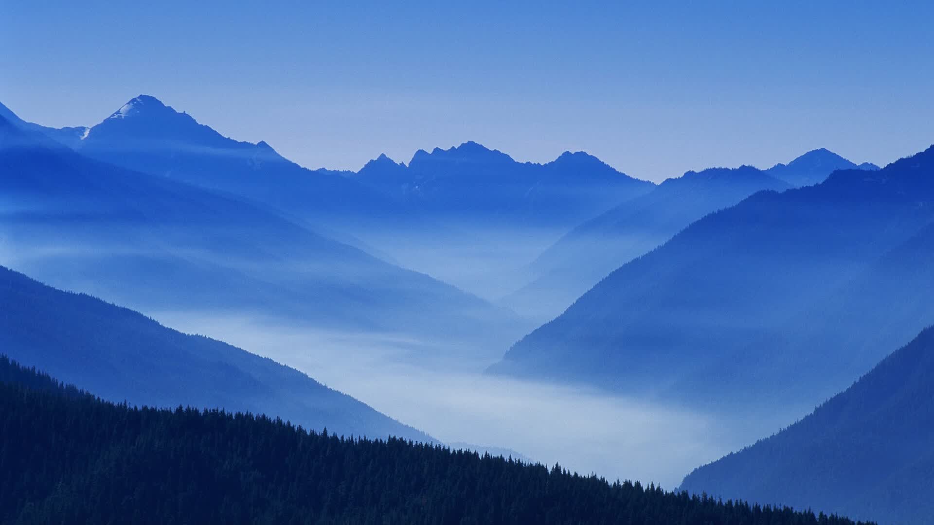 沙漠风暴,2026世界杯半决赛,阿联酋的史诗崛起与京多安的最后狂舞