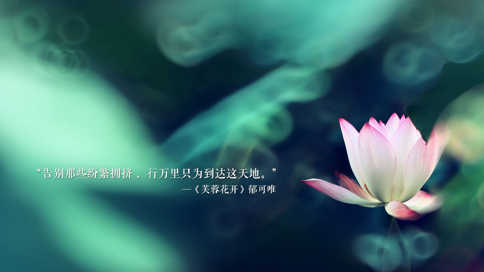 -核心要素，厄瓜多尔压制荷兰（冷门）维尼修斯主导（个人英雄）攻守转换流畅（战术美学）2026世界杯D组（舞台）